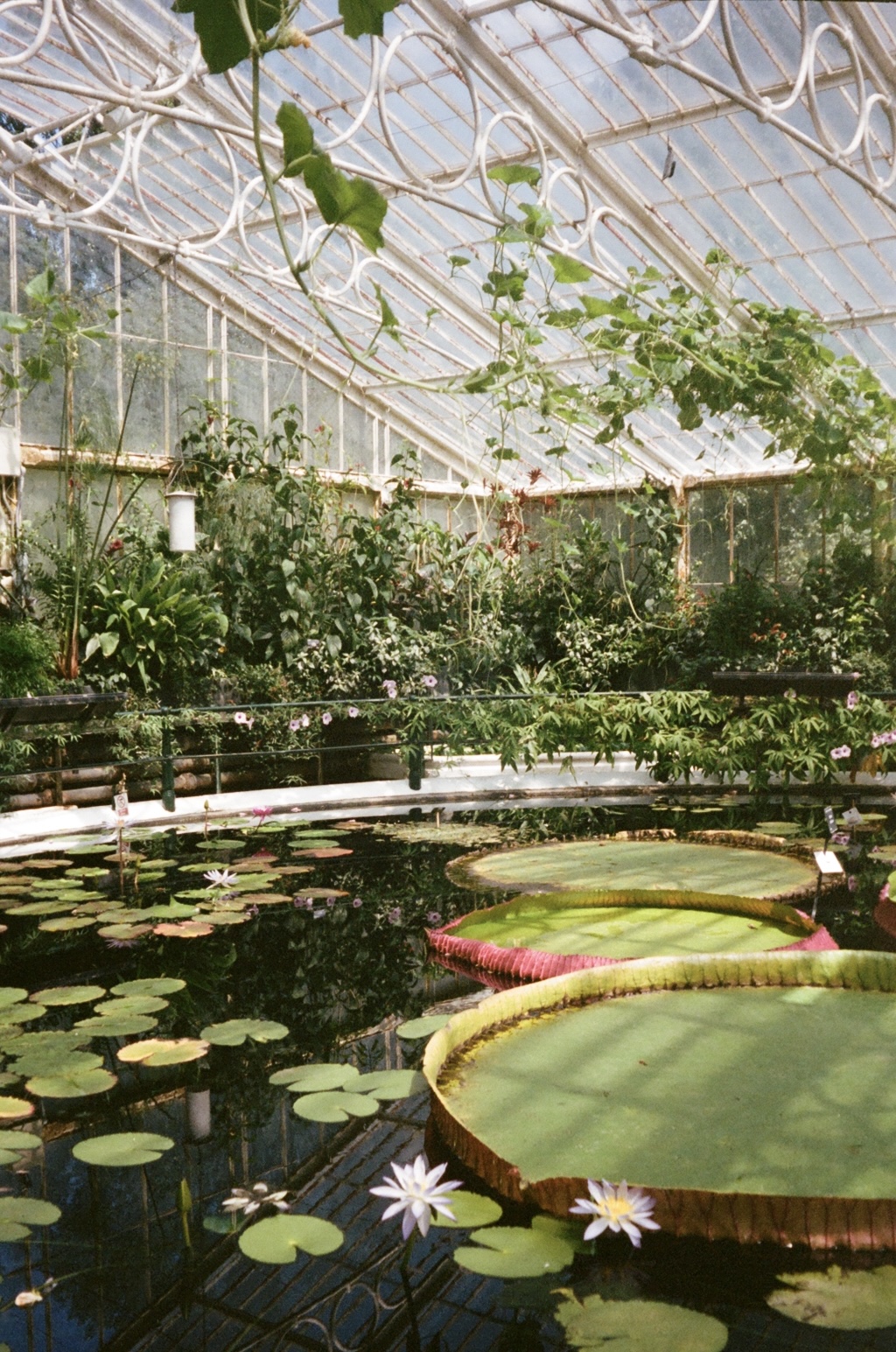 Film photography