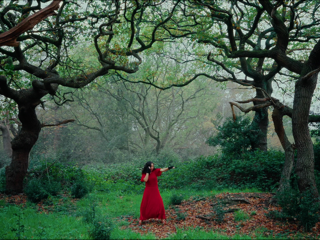 Film work